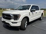 Used 2023 Ford F150 Platinum image 5