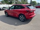 Used 2024 Ford Escape ST-Line image 4