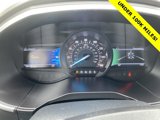 Used 2019 Ford Edge Titanium w/ Cold Weather Package image 3