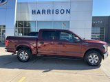 Used 2016 Ford F150 XLT image 5