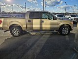 Used 2013 Ford F150 XLT w/ Luxury Equipment Group image 6