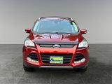 Used 2014 Ford Escape Titanium image 2