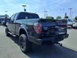 Used 2013 Ford F150 FX4 w/ Luxury Equipment Group image 4