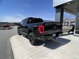 Certified 2023 Ford F150 XLT w/ Equipment Group 302A High image 4