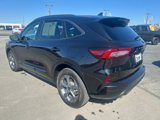 Used 2024 Ford Escape ST-Line image 6