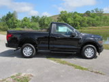 New 2025 Ford F150 XL image 2