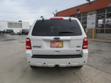 Used 2010 Ford Escape Limited image 5