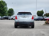 Used 2019 Cadillac XT5 Premium Luxury image 6