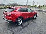 Used 2022 Ford Escape SE w/ Convenience Package image 5