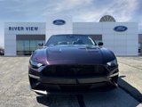 Used 2022 Ford Mustang Premium w/ Equipment Group 201A image 2
