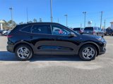 New 2025 Ford Escape ST-Line w/ Tech Pack #1 image 3