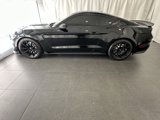 Used 2018 Ford Mustang Shelby GT350 w/ Convenience Package image 2