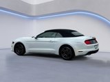 Certified 2022 Ford Mustang Premium image 4