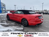 Used 2022 Ford Mustang Premium image 3