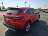 New 2024 Ford Escape Active w/ Tech Pack #2 image 5