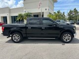 Used 2016 Ford F150 XLT w/ Equipment Group 302A Luxury image 3