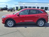 Used 2020 Ford Escape SE image 2