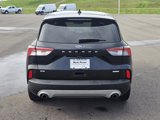 Used 2020 Ford Escape SE image 4