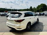 Used 2019 INFINITI QX60 Luxe w/ Essential Package image 5