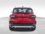 Used 2024 Ford Escape Platinum image 4
