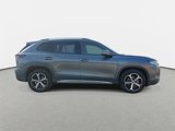 New 2025 Volkswagen Tiguan SE image 4