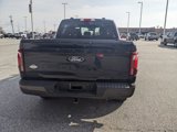 Certified 2024 Ford F150 King Ranch image 5