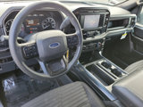 Used 2023 Ford F150 XL w/ STX Appearance Package image 4