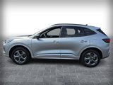 Used 2024 Ford Escape ST-Line image 4