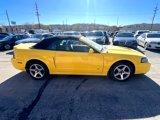Used 2003 Ford Mustang Cobra image 5
