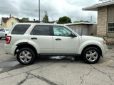 Used 2009 Ford Escape XLT image 2