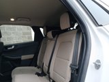 Used 2020 Ford Escape SE image 6