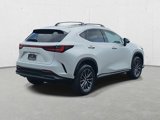 New 2025 Lexus NX 350 AWD image 5