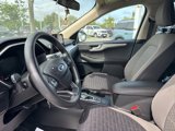Used 2020 Ford Escape SE image 4