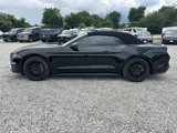 Used 2018 Ford Mustang Convertible w/ Equipment Group 101A image 3