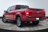 Used 2019 Ford F150 XLT w/ Equipment Group 302A Luxury image 4