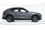 New 2025 Alfa Romeo Stelvio Sprint image 6