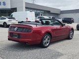 Used 2014 Ford Mustang Premium w/ Comfort Package image 4