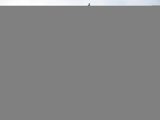 Used 2022 Ford F450 XLT image 3