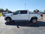 New 2024 Ford F150 XLT w/ Equipment Group 302A MID image 5