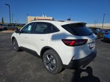 New 2025 Ford Escape ST-Line w/ Tech Pack #1 image 3