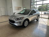 Used 2022 Ford Escape SE w/ Cold Weather Package image 2
