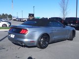 Used 2022 Ford Mustang Premium image 3