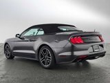 Used 2018 Ford Mustang Premium image 3