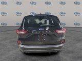 New 2025 Ford Escape ST-Line w/ Tech Pack #1 image 4
