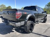 Used 2009 Ford F150 FX4 image 6