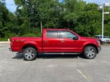 Used 2020 Ford F150 XLT w/ Equipment Group 302A Luxury image 2