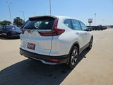 Certified 2021 Honda CR-V Special Edition image 4