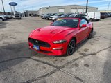 Used 2019 Ford Mustang Premium w/ Equipment Group 201A image 2