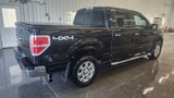Used 2013 Ford F150 XLT w/ Luxury Equipment Group image 4