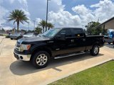Used 2013 Ford F150 XLT w/ Luxury Equipment Group image 4